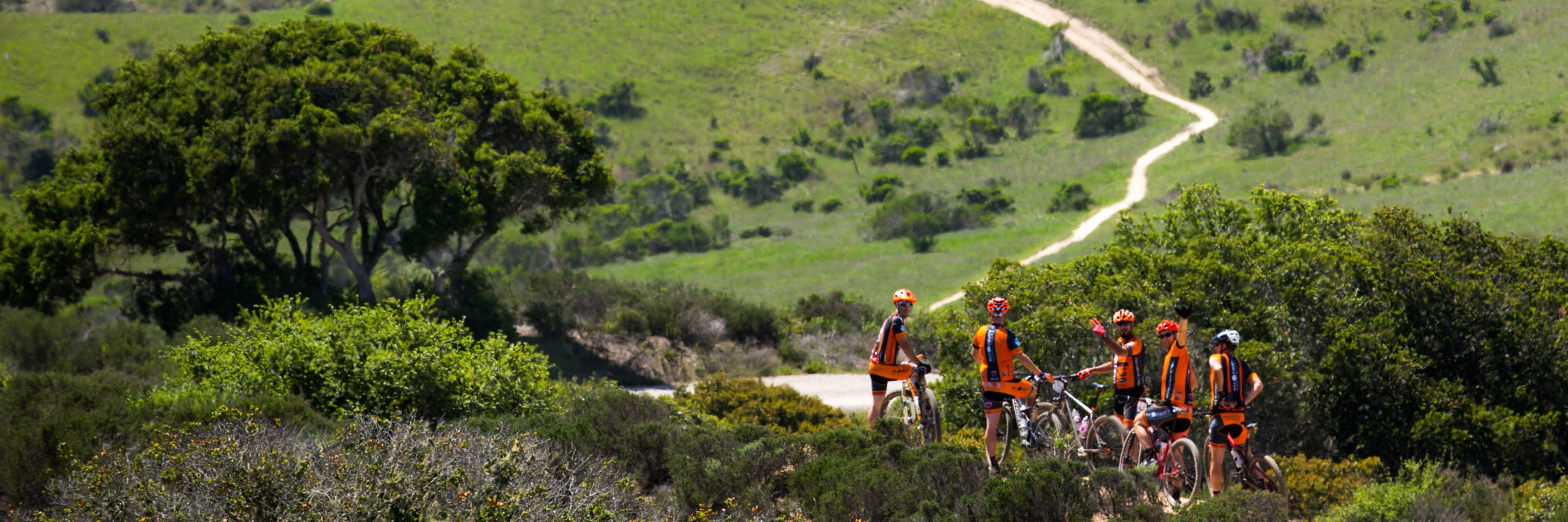 fuego-off-road-banner