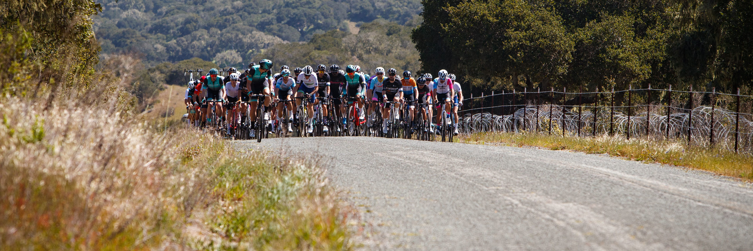 ROAD-banner Road race