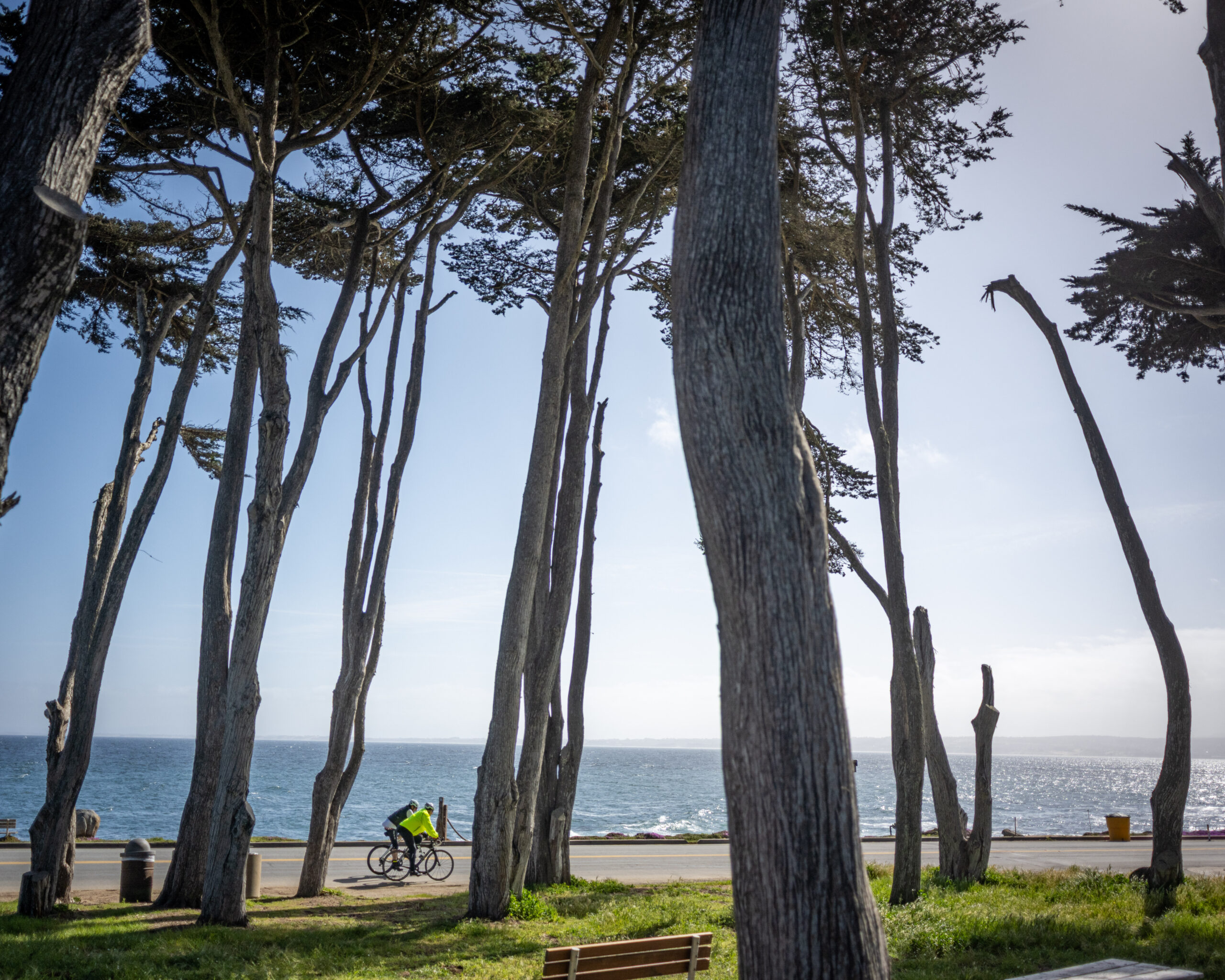 SeaOtter_2025_Fondos43